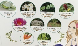 ⑯ファースト1.jpg