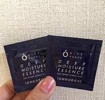 ㉞ライスフォース1.jpg